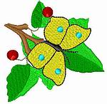 Image of butterflysingle.jpg