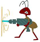 Image of ant21.jpg
